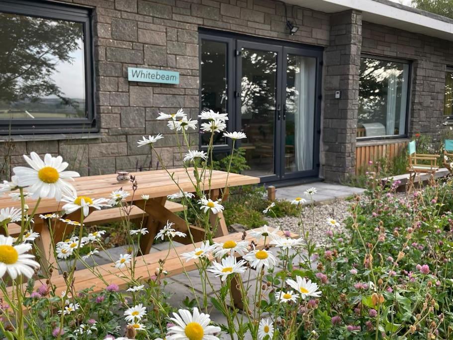 Whitebeam, Moor And Sea Holidays, Beautiful Views Over Exmoor Lynton Exterior photo