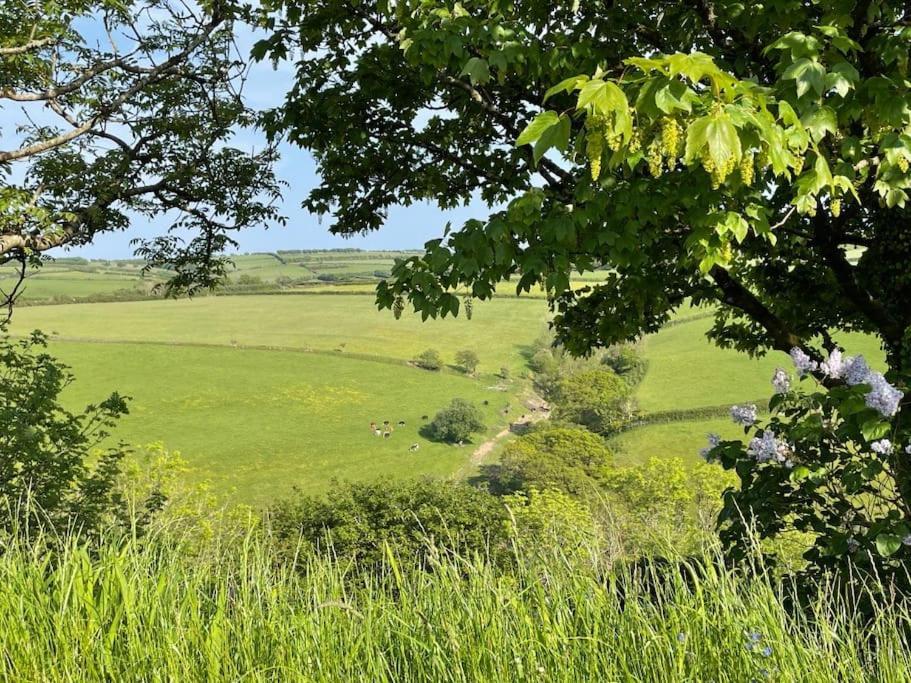 Whitebeam, Moor And Sea Holidays, Beautiful Views Over Exmoor Lynton Exterior photo